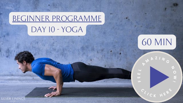 Day 10 - Beginner Vinyasa Yoga, Trevor 