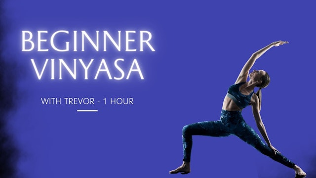 Beginner Vinyasa, 1 hour, Trevor