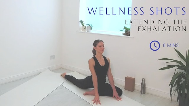 Extending the exhalation sequence with Vanessa 