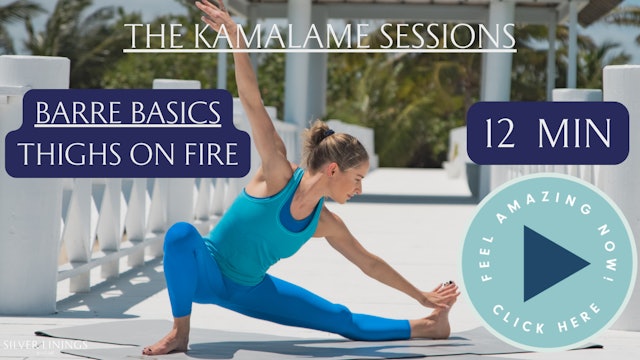 Summer Body Series - Barre Basics 2: Thighs on Fire