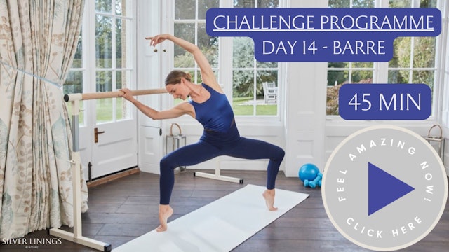 Day 14 - Barre with Chrissy