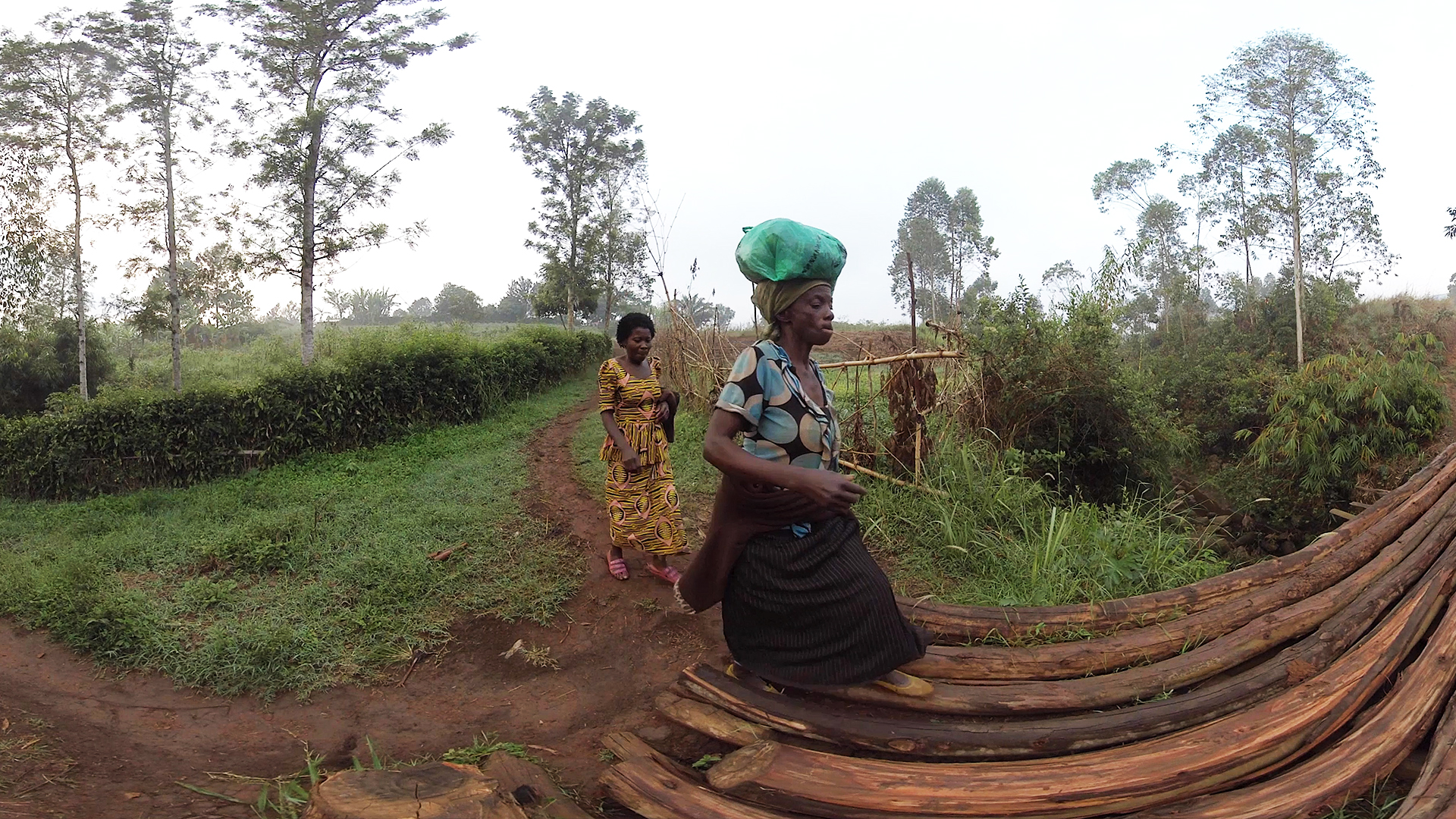 Water & Coltan (VR/360)