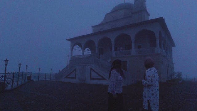 Harvesting Our Tea | TRAILER