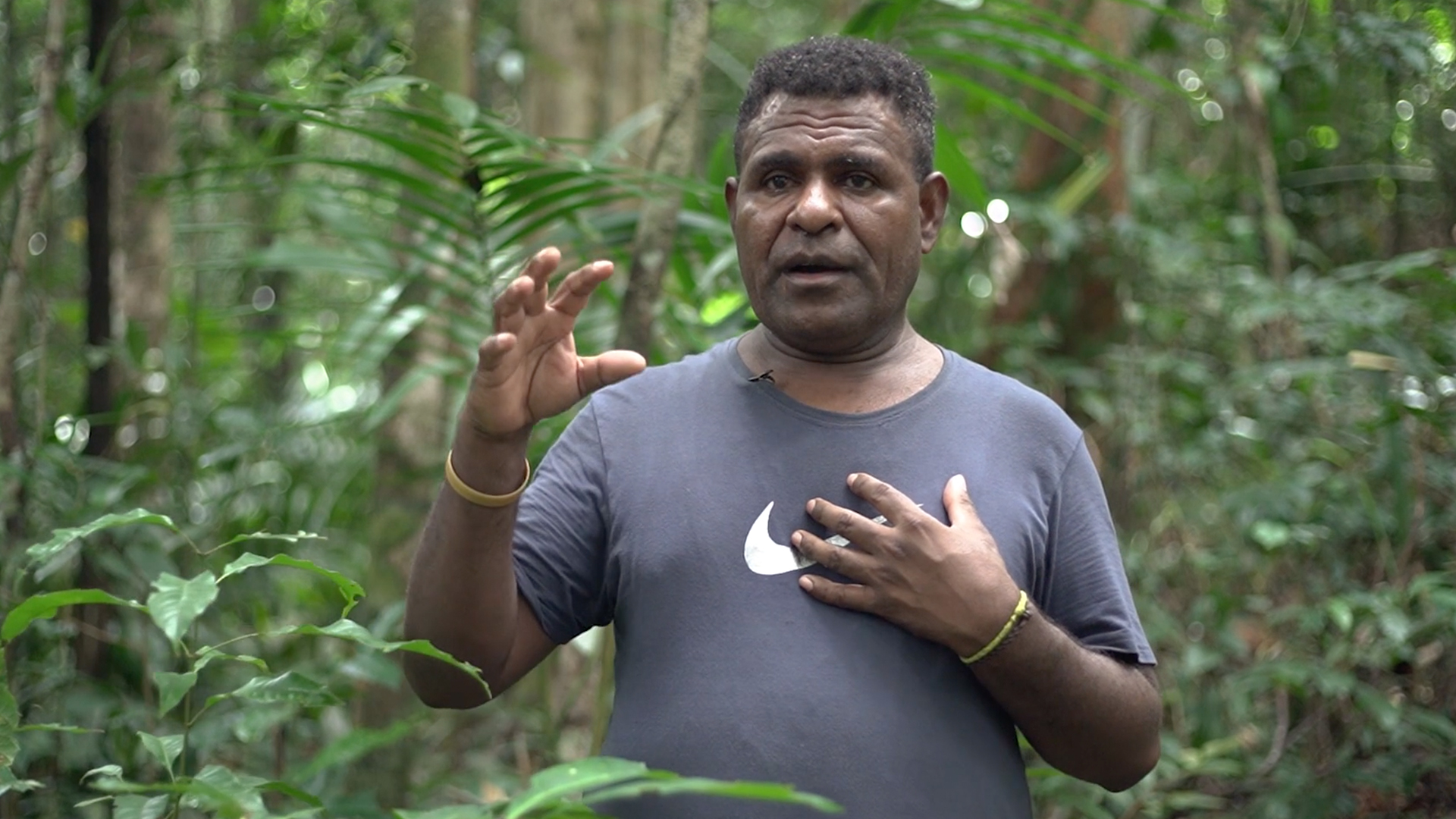 Forest, Indigenous People, and Industry | TRAILER