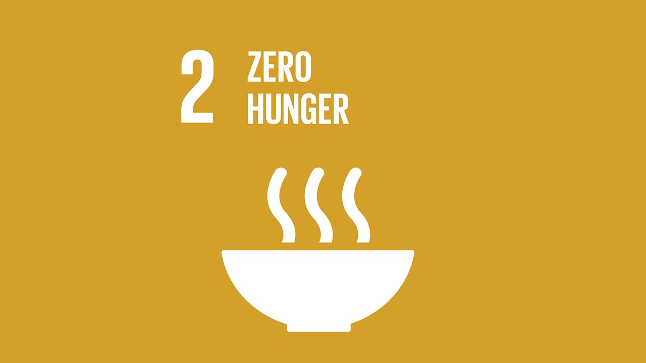 SDG 2: Zero Hunger