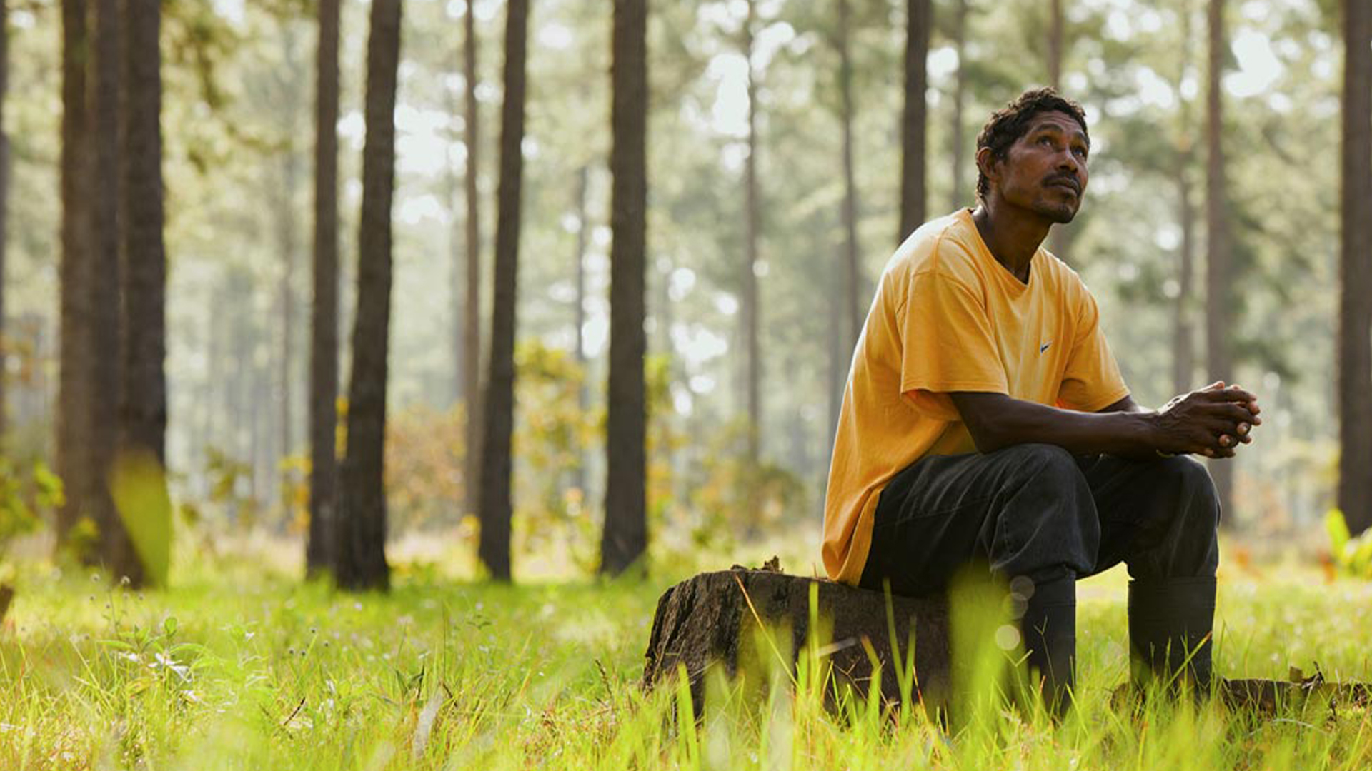 Indonesian Subtitles