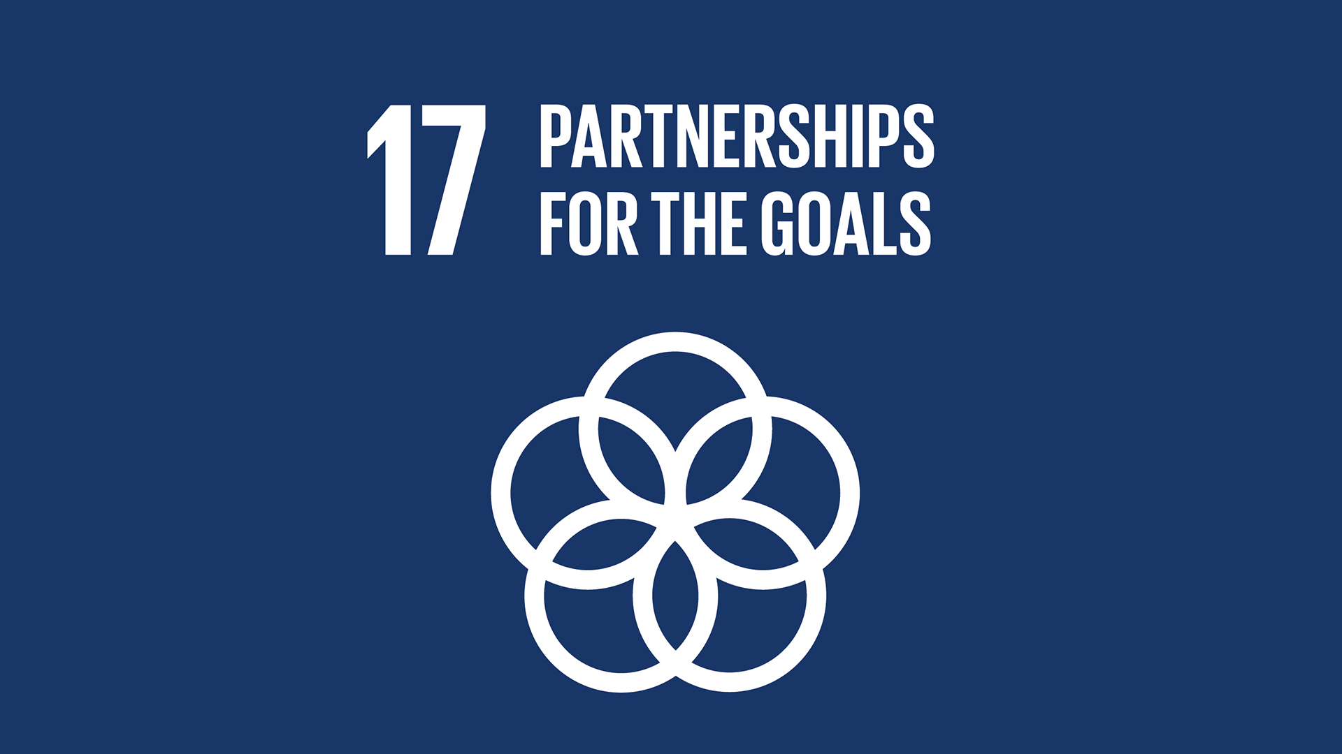 SDG 17: Partnerships For The Goals