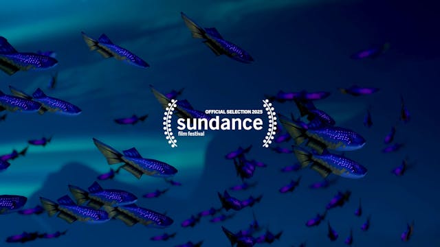 The Reality of Hope | TRAILER