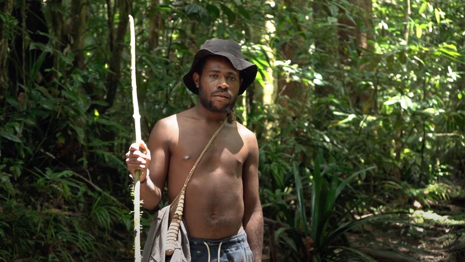 Forest, Indigenous People, and Industry