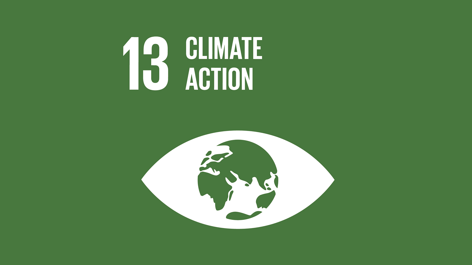 SDG 13: Climate Action