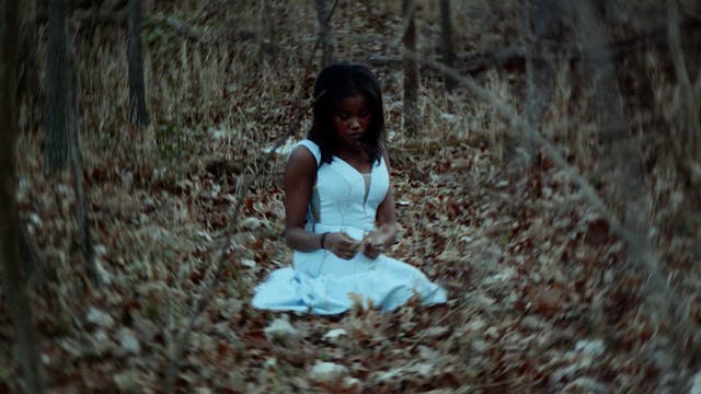 Fenice *Viewer Discretion Advised*