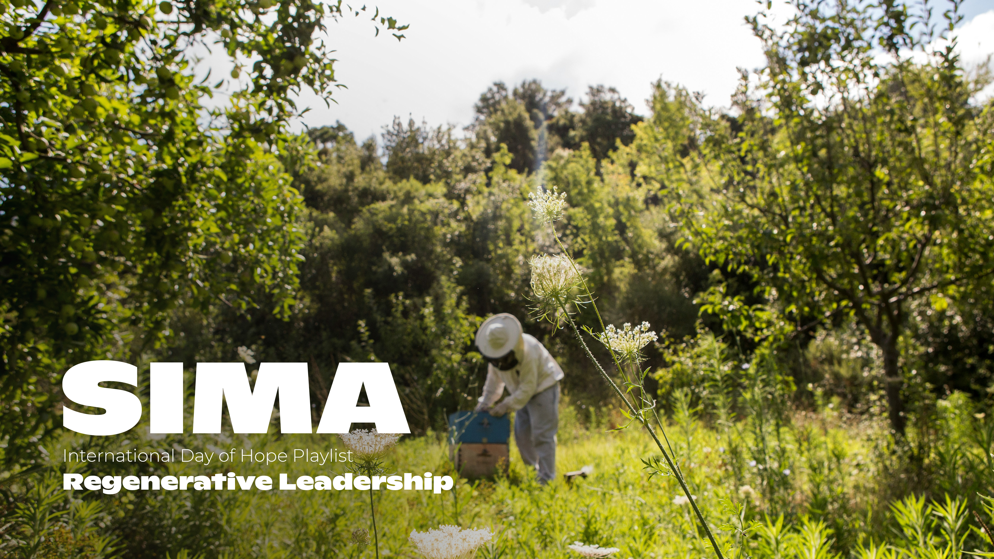 Regenerative Leadership