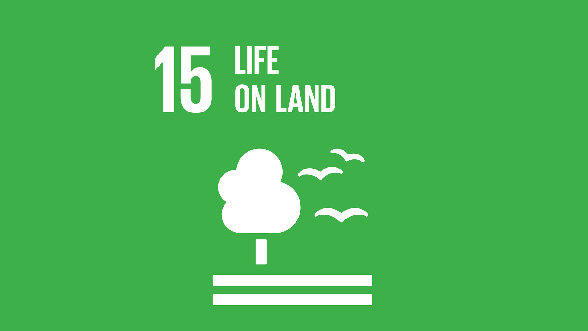 SDG 15: Life On Land