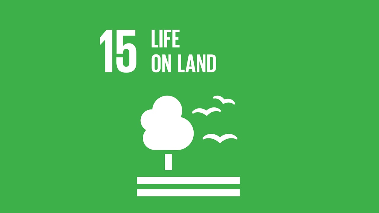 SDG 15: Life On Land
