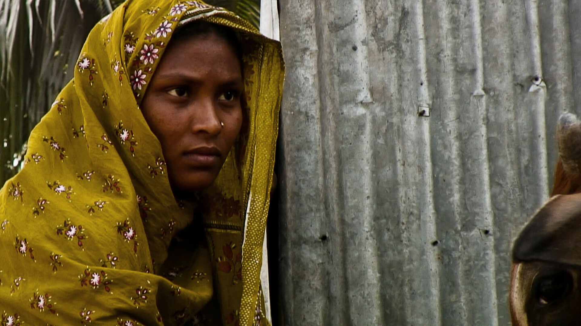 Stories From the Field: Rural Innovations, Food Security and Women's Empowerment