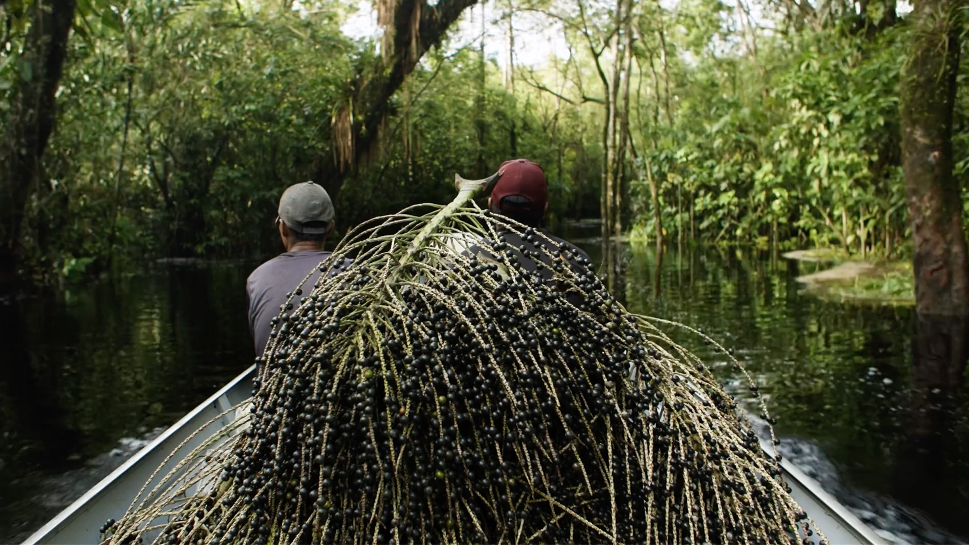 Seeding Biosocioeconomy