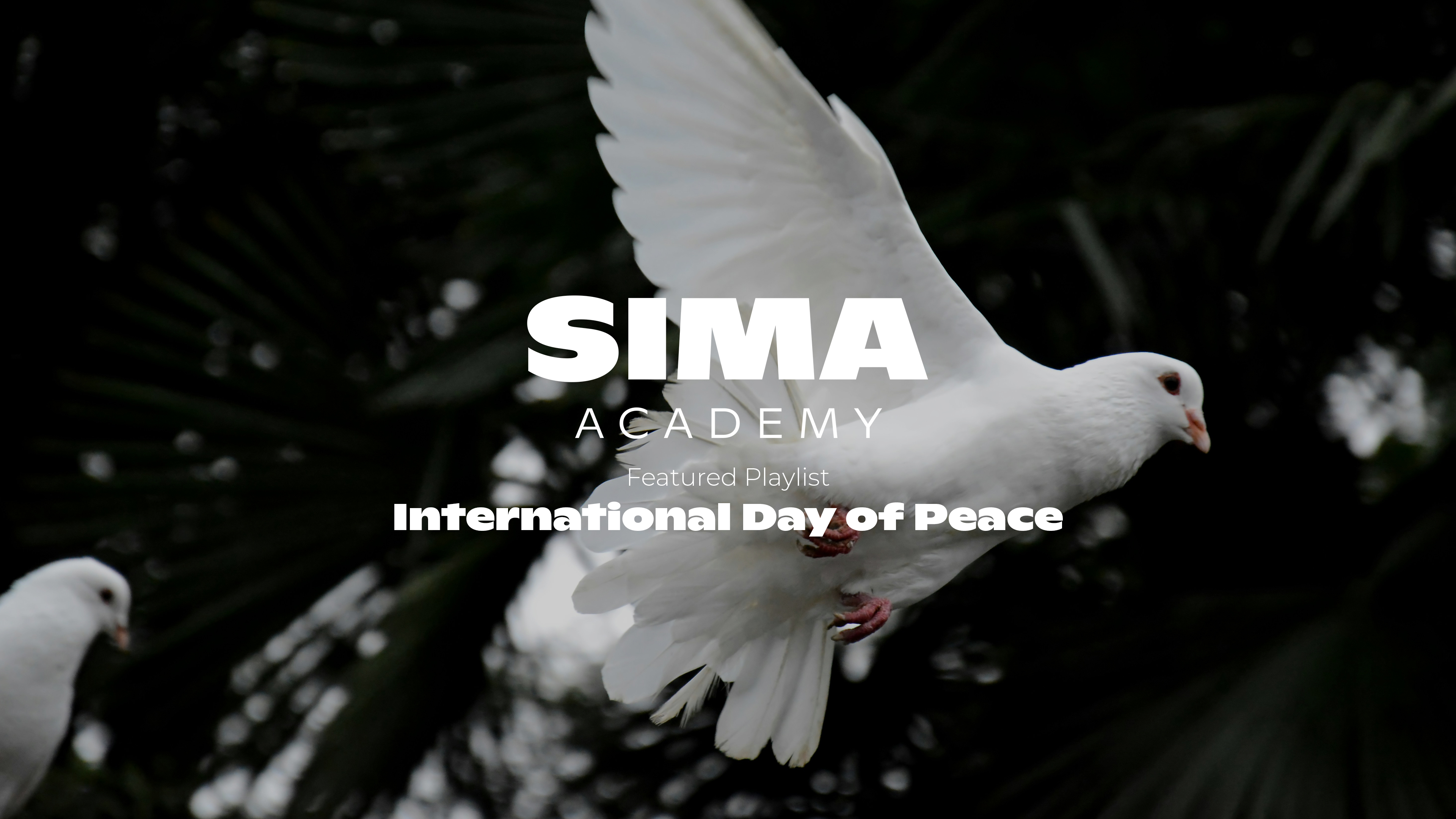 International Day of Peace