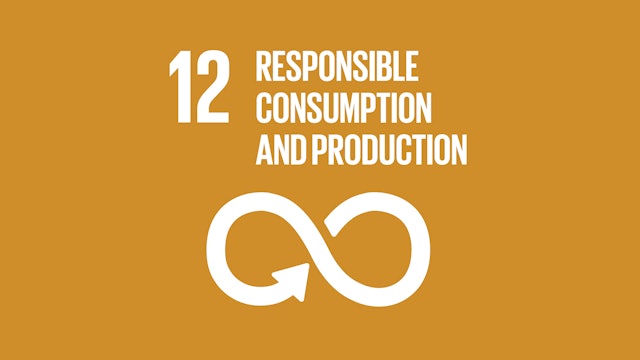 SDG 12: Sustainable Consumption & Production