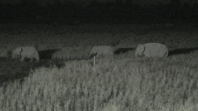 The Caretakers | TRAILER