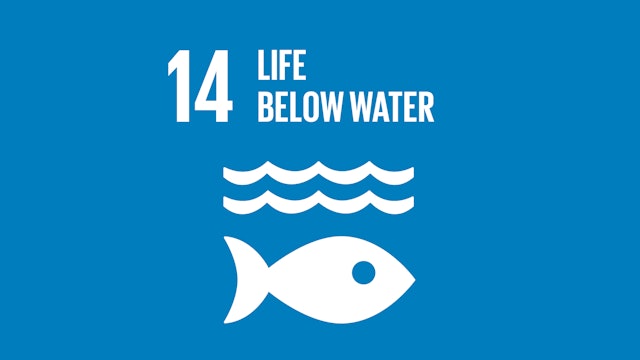 SDG 14: Life Below Water