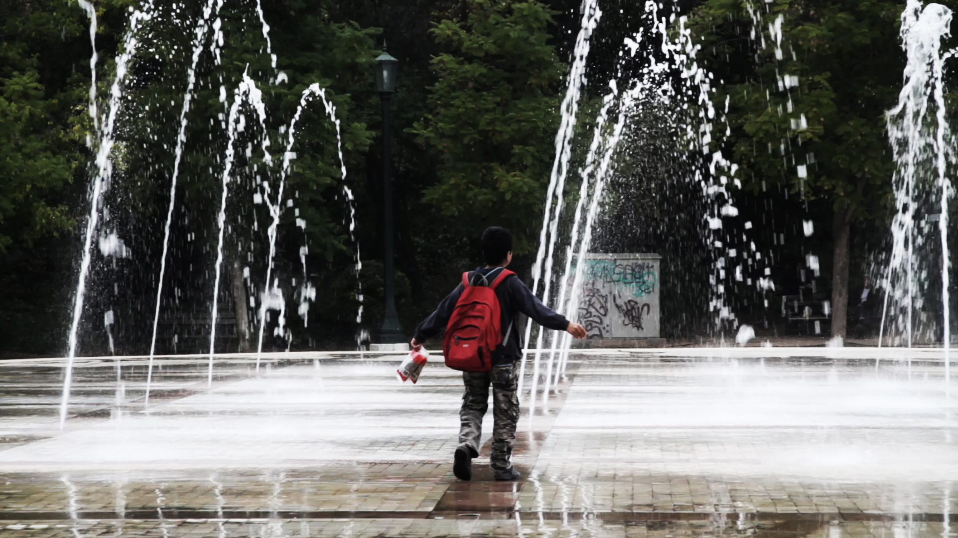 Sunflower Seeds | TRAILER