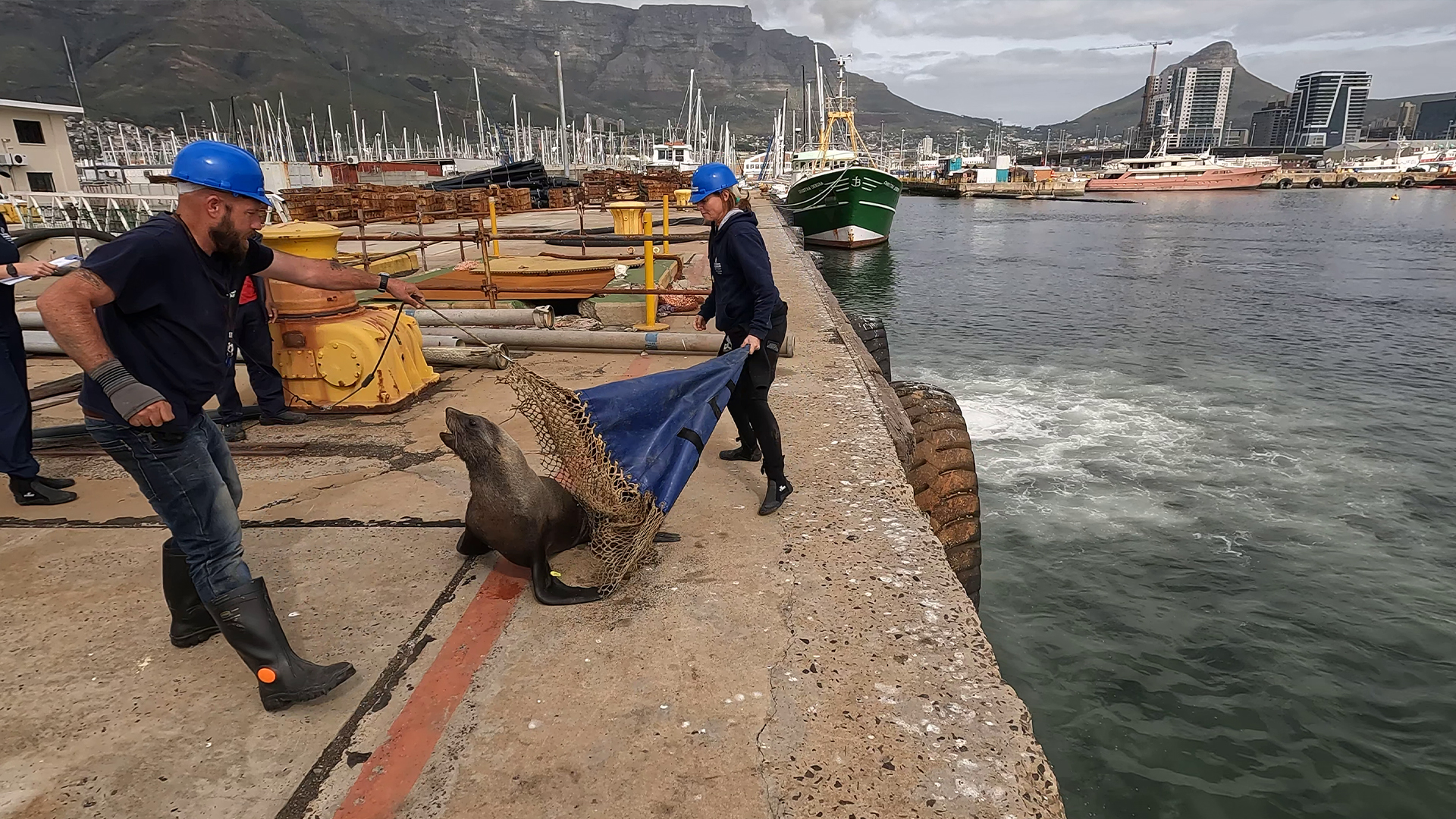 At the Salty Water | TRAILER