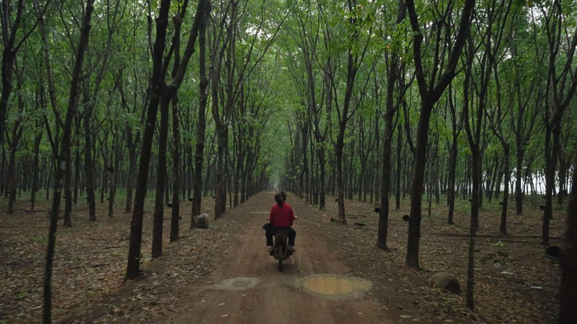 Strangled | TRAILER *Viewer Discretion Advised*