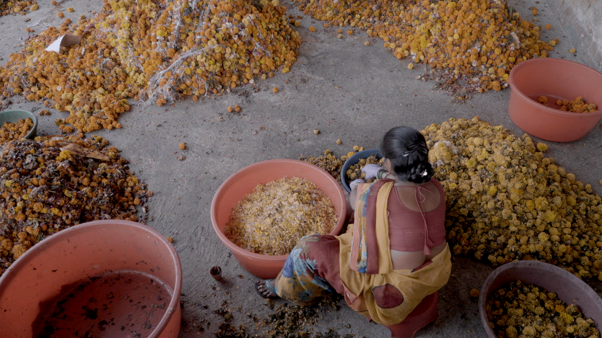 Dignity With Flowers