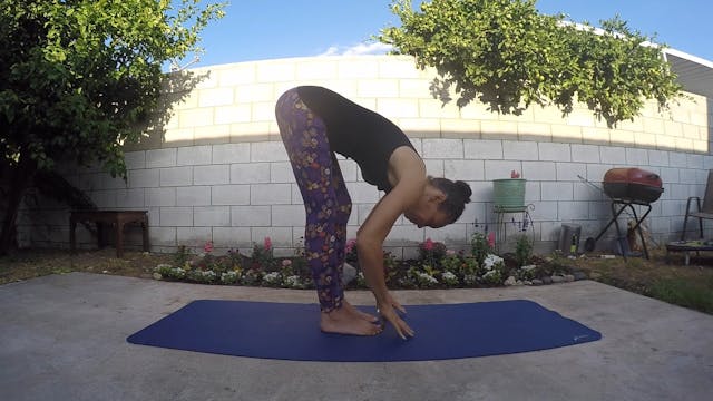 Gentle Yoga Flow 1