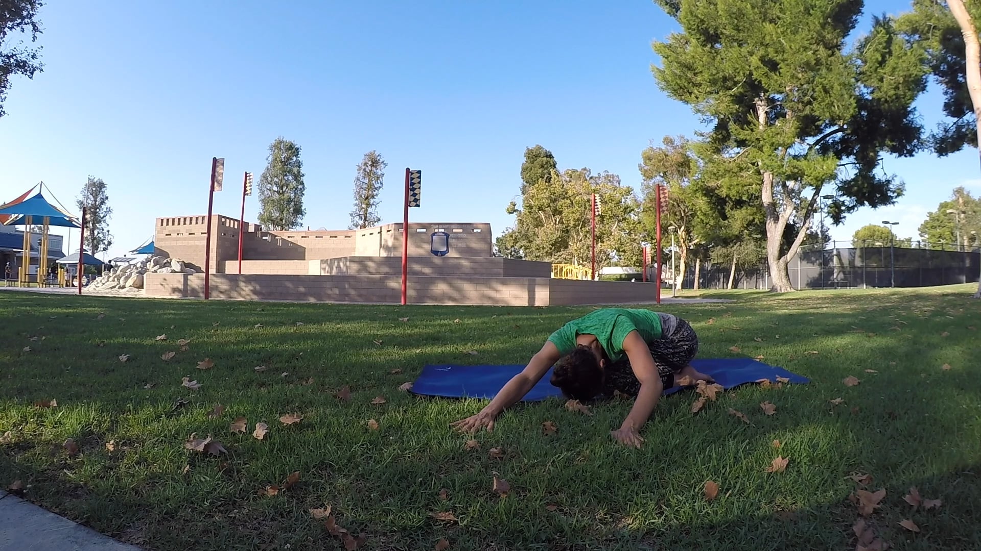 Castle Park - Low Back Stretching and Strengthening