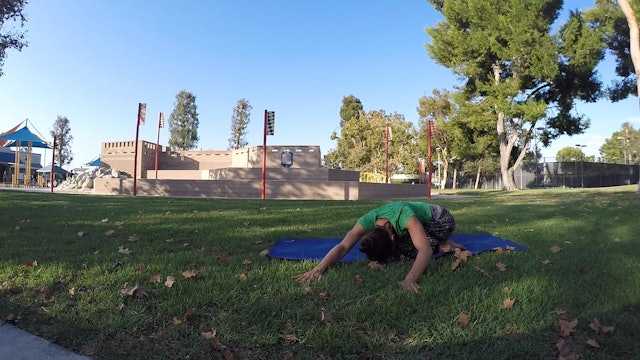 Castle Park - Low Back Stretching and Strengthening