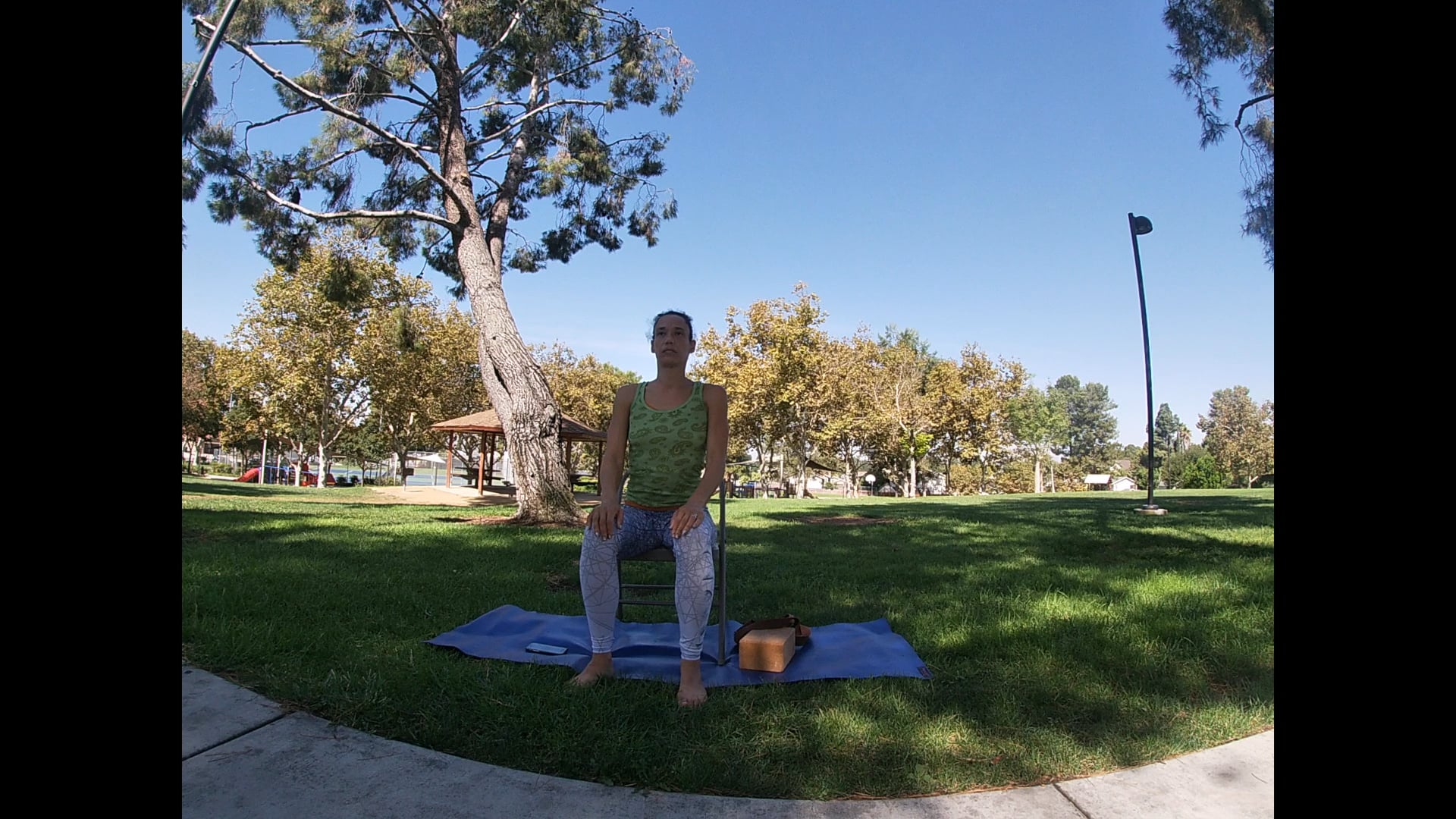 Chair Yoga 2 - Seated in the Chair 