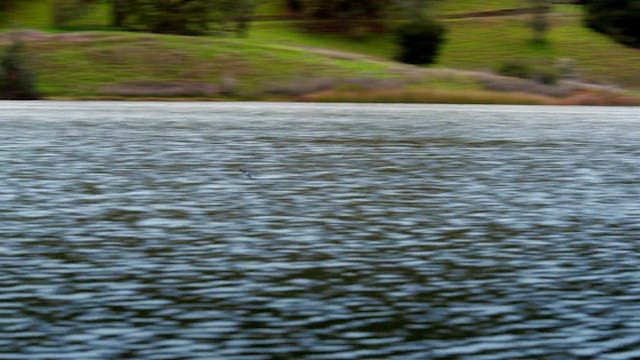Napa Valley Dreams | Full Documentary