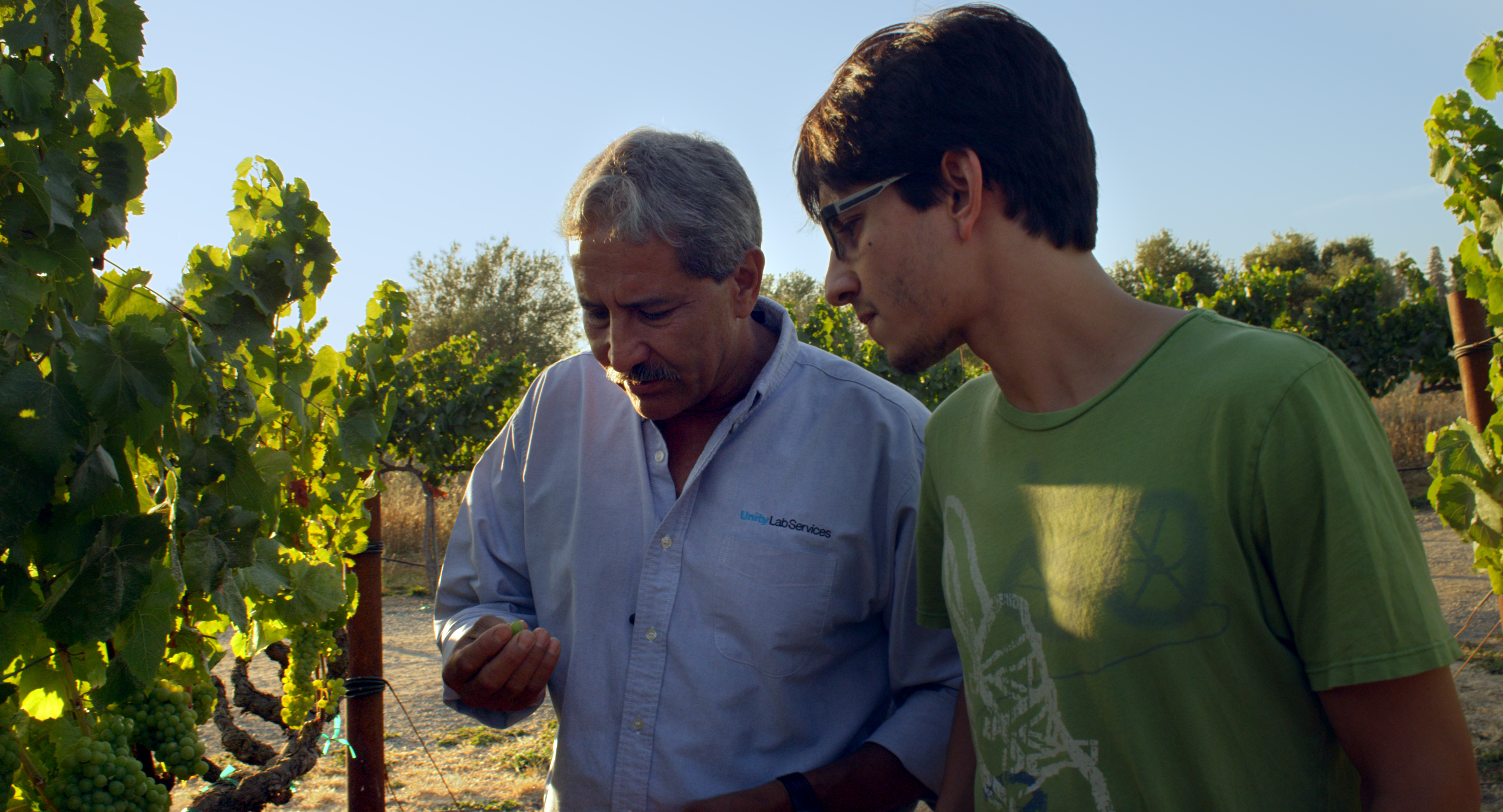 Ceja-checking-grapes.jpg