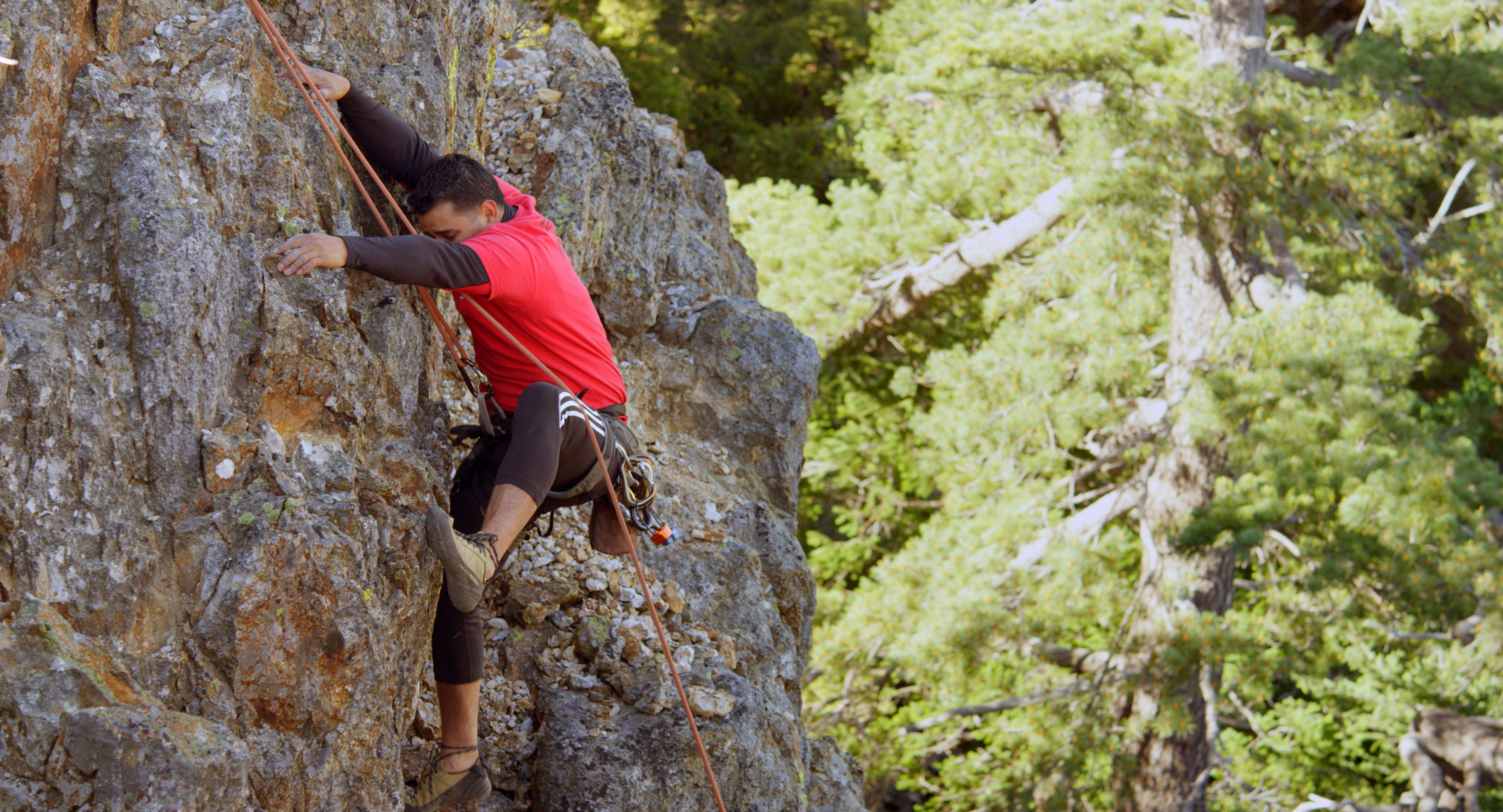 Cliff-Climbing-w-Trees.jpg