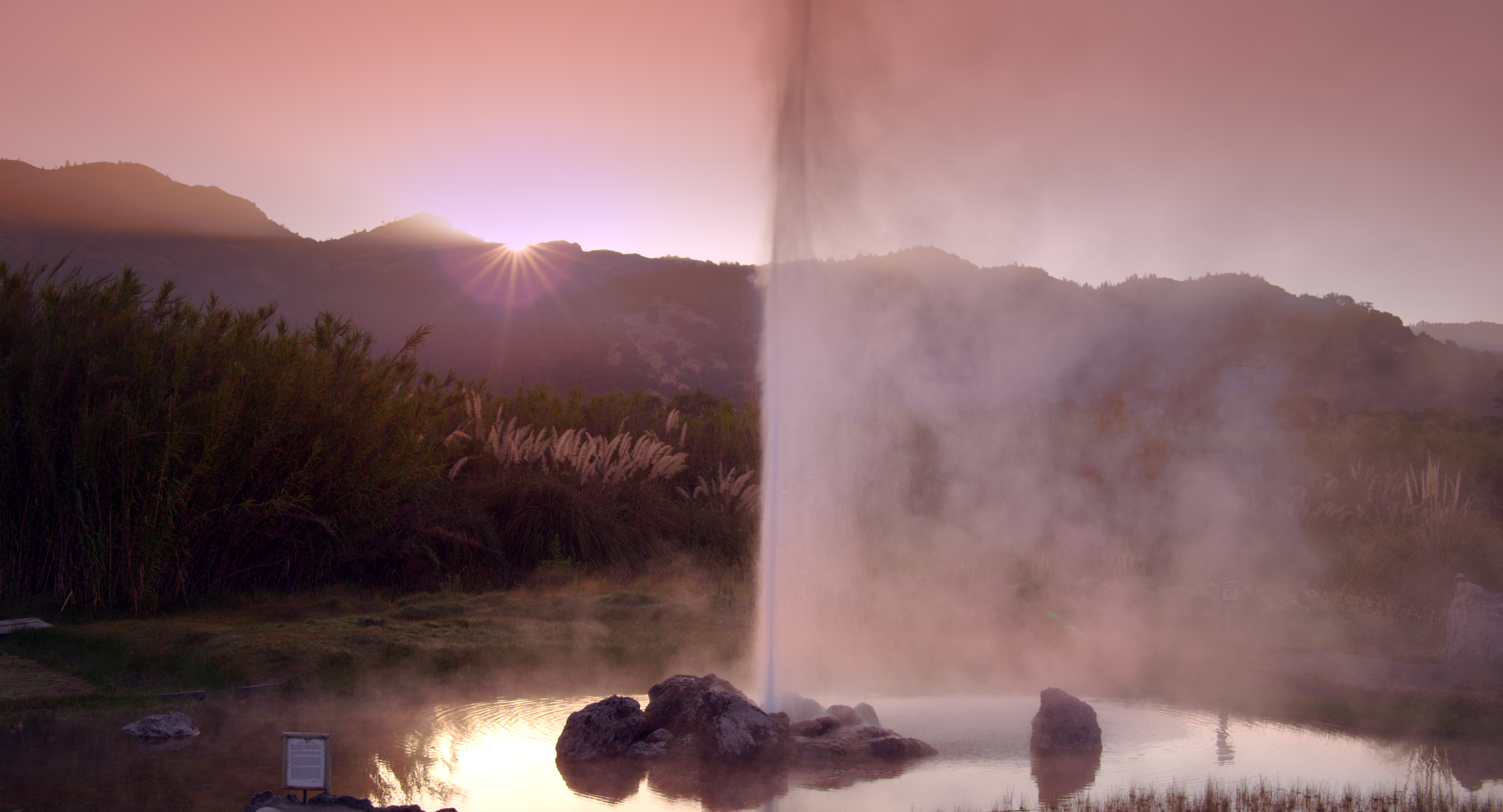 Calistoga-Geyser-erupting-dawn.jpg