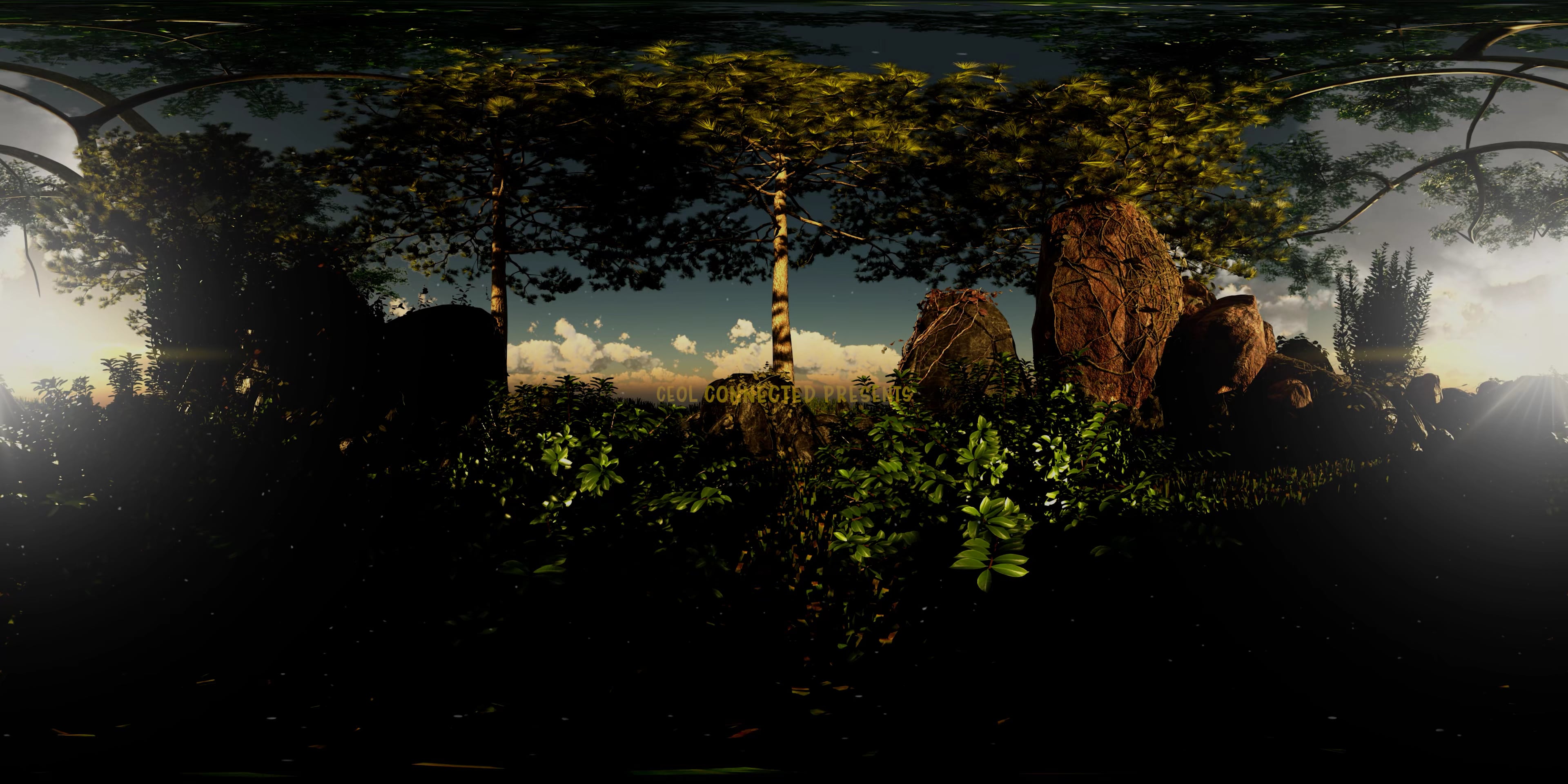 TREEHOUSE 360 - Ceol Connected