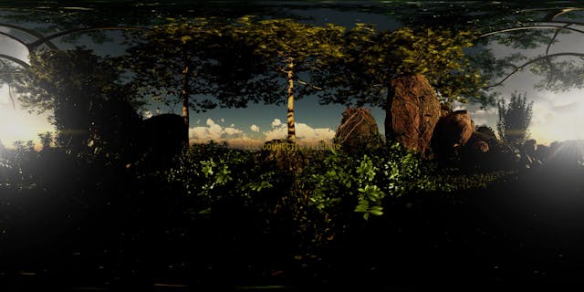 TREEHOUSE 360 - Ceol Connected