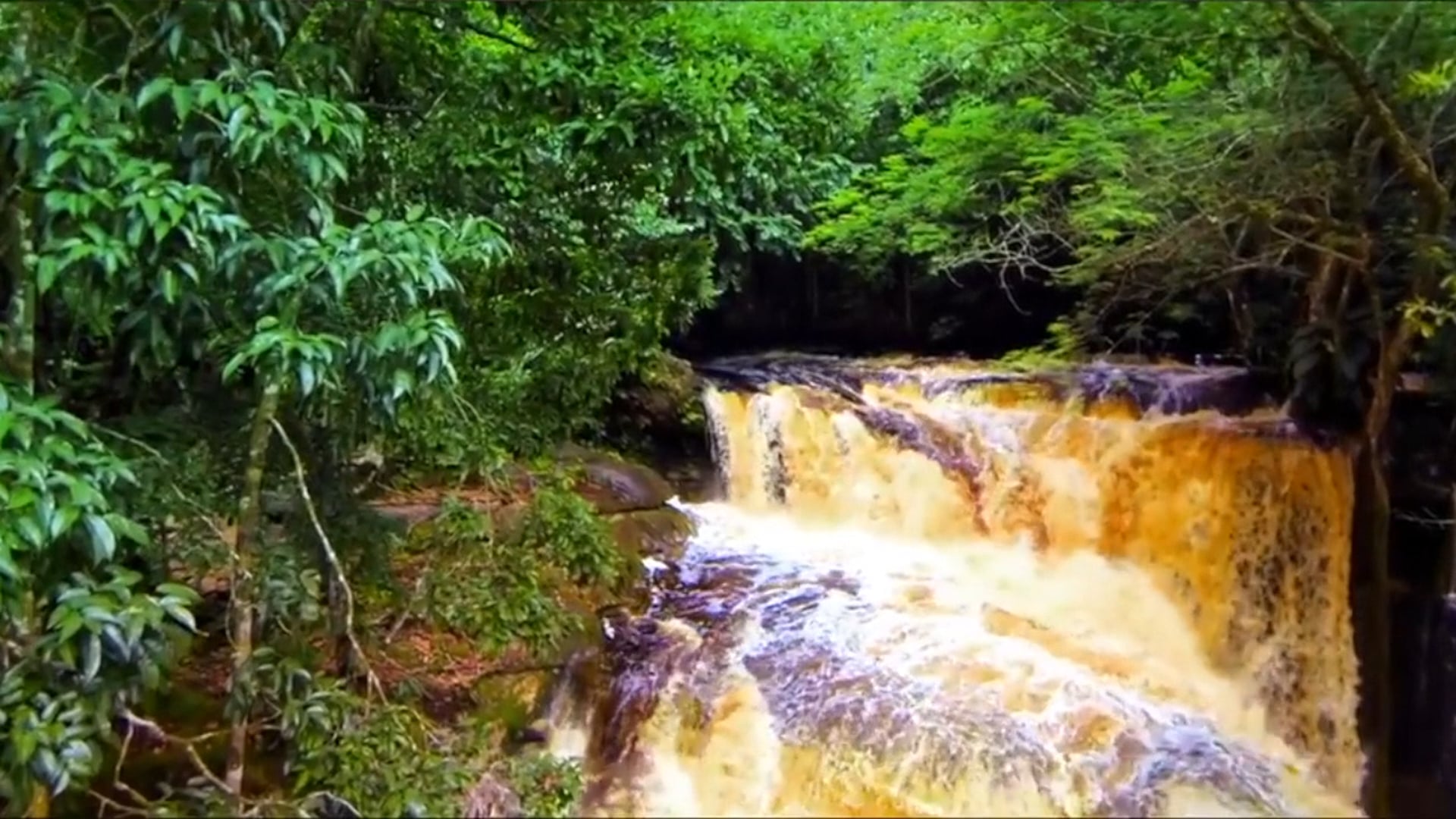 Amazonia - Projeto GOMPA and Karine Guizzo