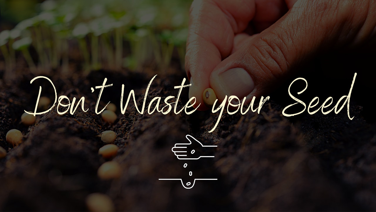 Don't Waste your Seed