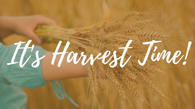 It's Harvest Time | Live UnCut Sermon