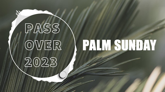 Palm Sunday | Passover 2023 | Live Un...