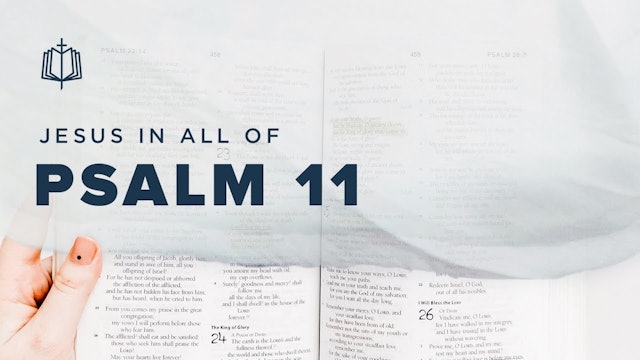 Psalm 11 | Jesus In All Of Psalms (Book 1) | Spoken Gospel