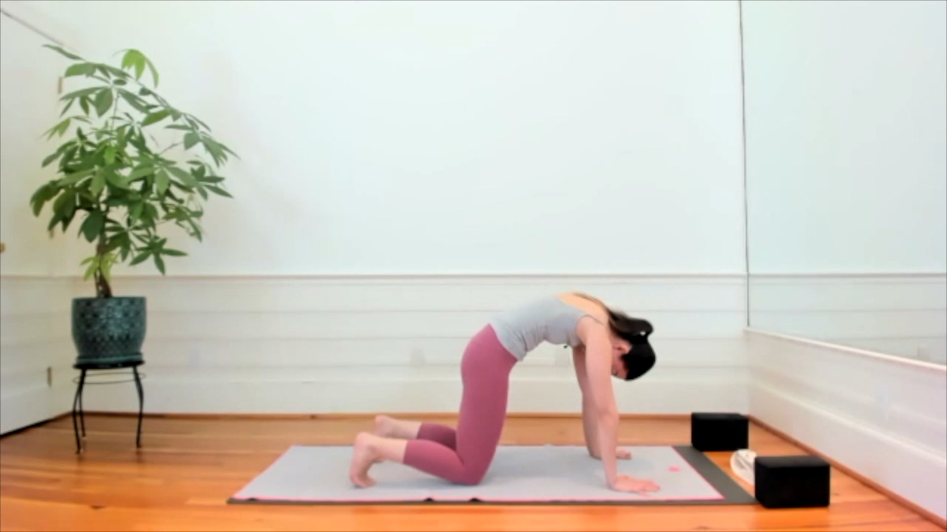 POWER VINYASA YOGA 01.31