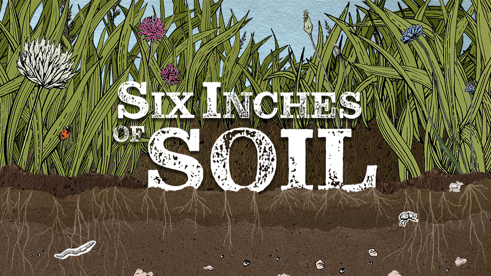Six Inches of Soil 
