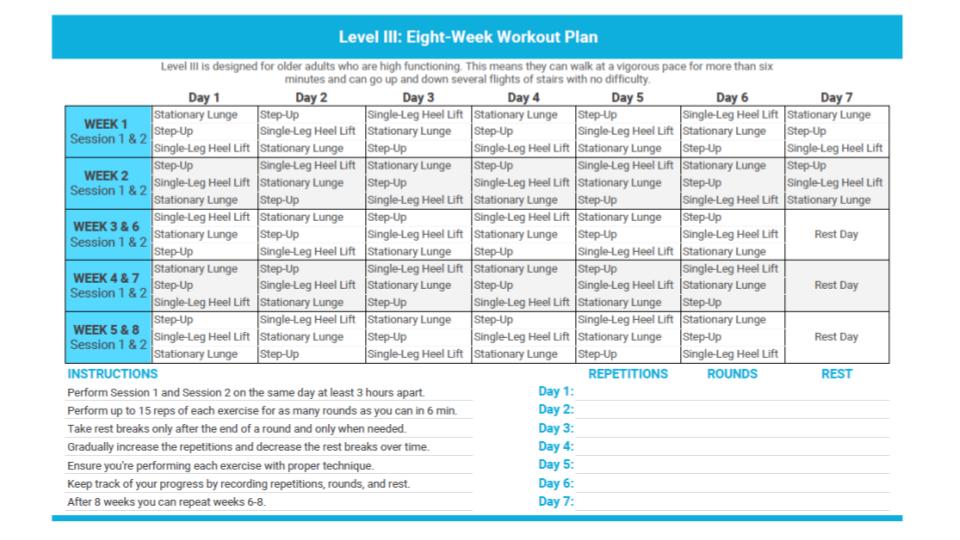 Level-III-Workout-Plan.pdf