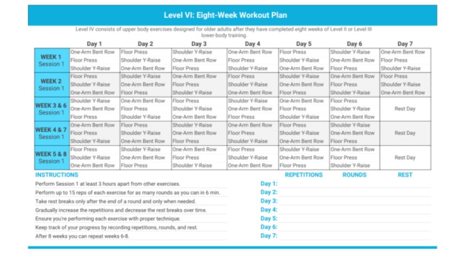 Level-VI-Workout-Plan.pdf