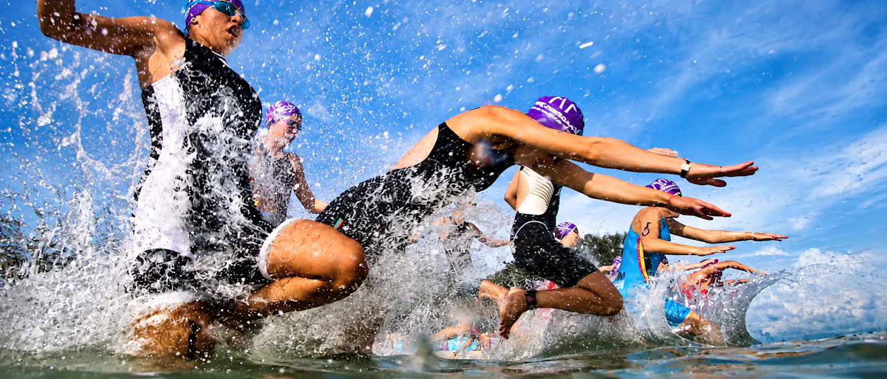 TriFit the online training system