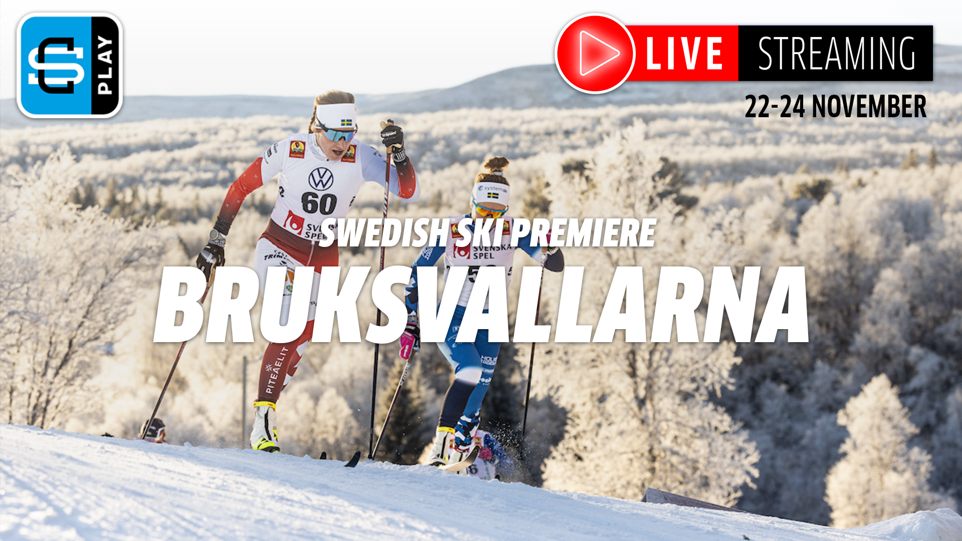 Bruksvallarna Sprint Heats/Finals 22nd November 2024