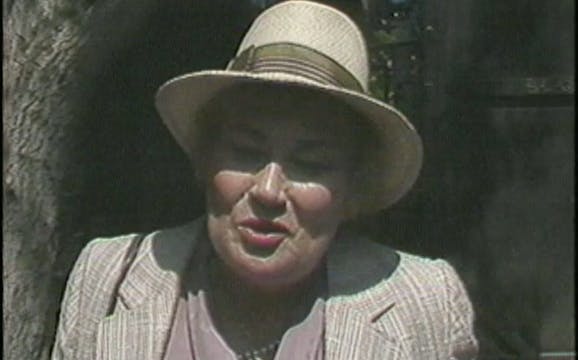 Disamament Video Survey (half-hour edit)